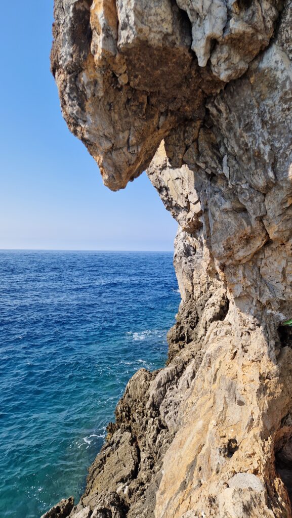 Click here for gallery