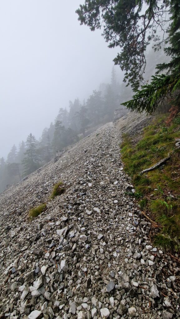 Click here for gallery